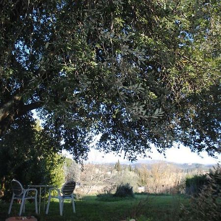 Agriturismo Fattoria Di Malavolta Florence Luaran gambar