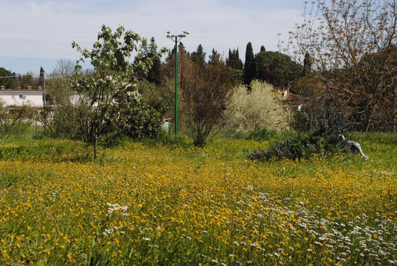 Agriturismo Fattoria Di Malavolta Florence Luaran gambar