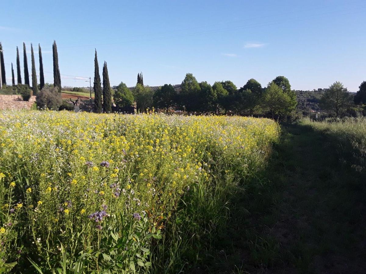 Agriturismo Fattoria Di Malavolta Florence Luaran gambar