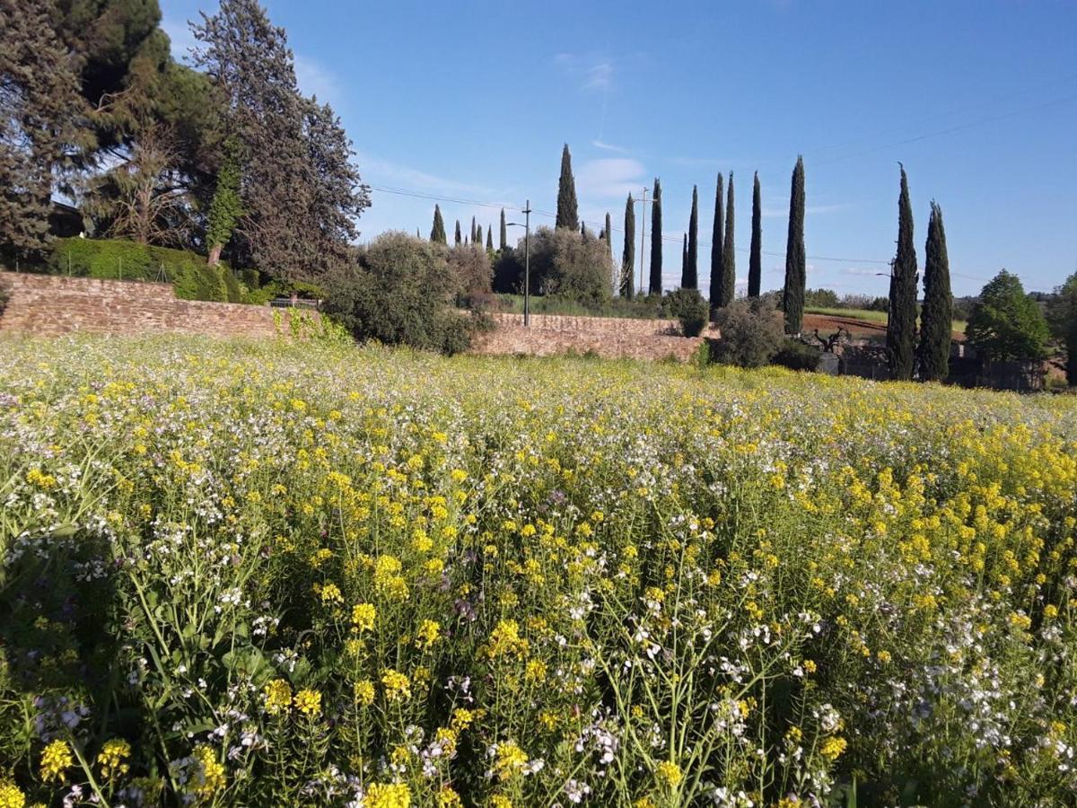 Agriturismo Fattoria Di Malavolta Florence Luaran gambar